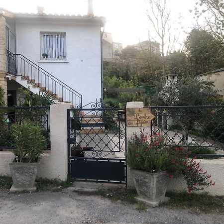 Appartement Bienvenue « A L'Ombre Du Figuier » à Pieusse Extérieur photo
